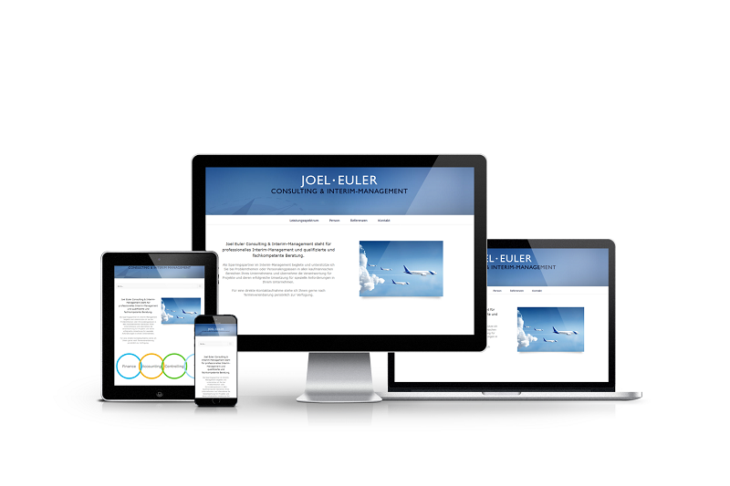 Euler Consulting